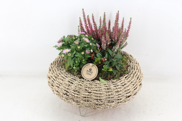 <h4>arr4 Outdoor PL - Mand op pootjes</h4>