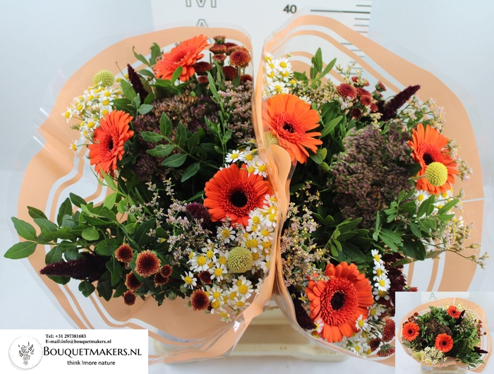 <h4>GEM BOEKET OV</h4>