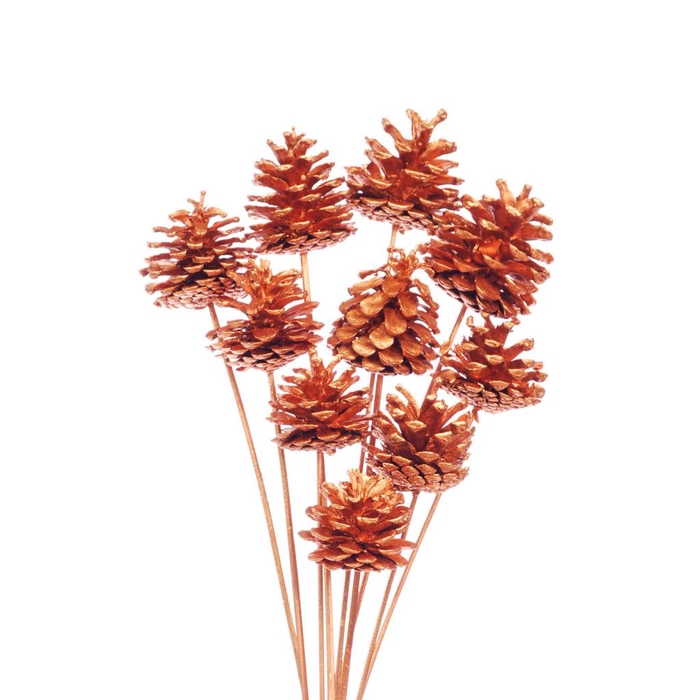 <h4>Pine C 5-7 O/s 10pc Copp</h4>