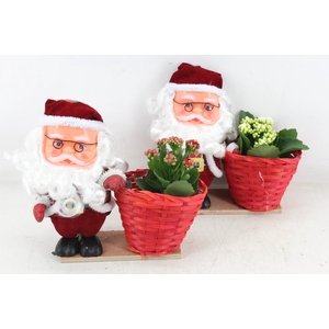 arr2 TD - Kerstman kal. rood/wit