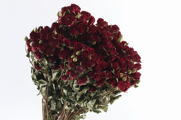 Roses Spray Red Dark Natural