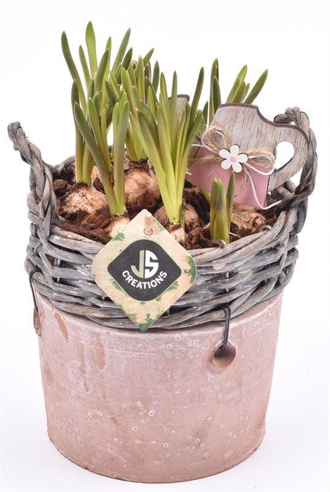 <h4>Wilg rand met terra pot 16cm</h4>