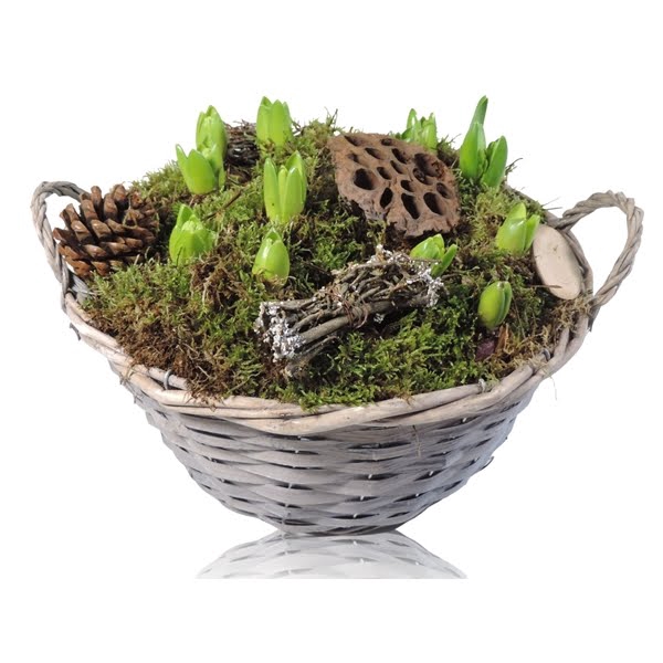 <h4>Arrangement Hyacint in Mand Split Willow 29 cm</h4>