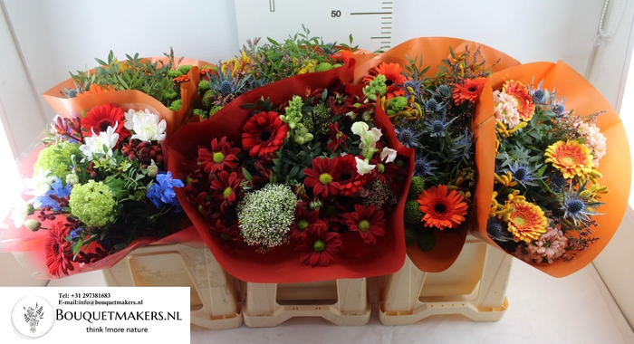 <h4>GEM BOEKET OV</h4>