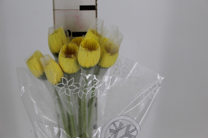<h4>GERBERA BRILLIANCE (ME) 060 CM</h4>