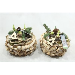 5885 Latjes Xl Rond 3 Amar