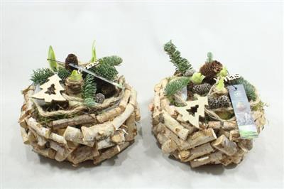 <h4>5885 Latjes Xl Rond 3 Amar</h4>