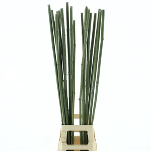 Bamboe Stok 115 Cm