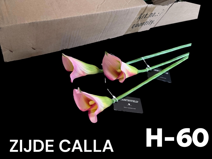 <h4>HUIS EN TUINDECO H%</h4>