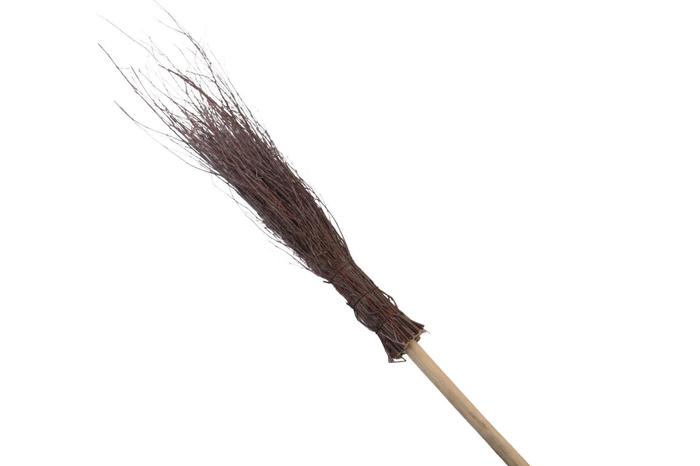 <h4>Berken bezem Drentse Echte</h4>