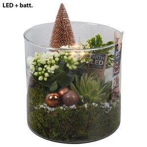 PTCHB9877 Arrangementen Kerst