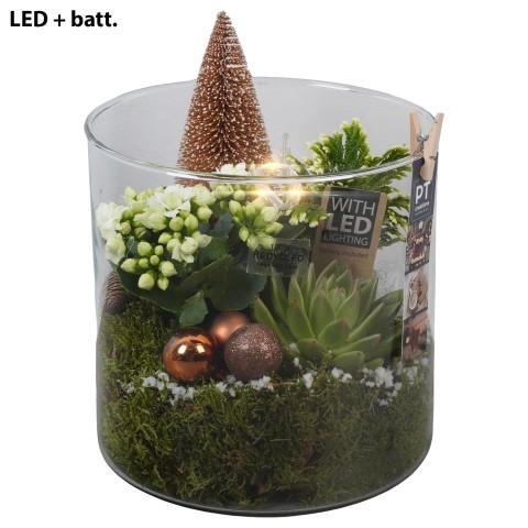 <h4>PTCHB9877 Arrangementen Kerst</h4>