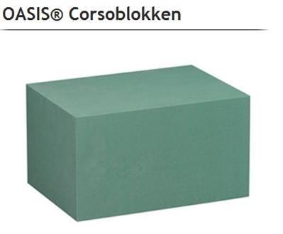<h4>1..OASIS 11-01003 CORSO 3-BLOK P.DS</h4>