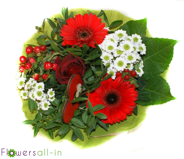 <h4>M202309-geel</h4>
