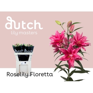 LI OR DU RL FLORETTA