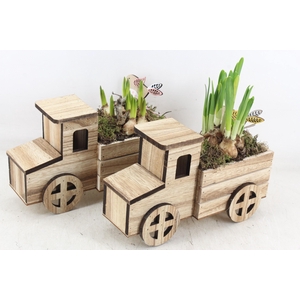 arr4 Bollenmix MB - Hout vrachtwagen 401/4