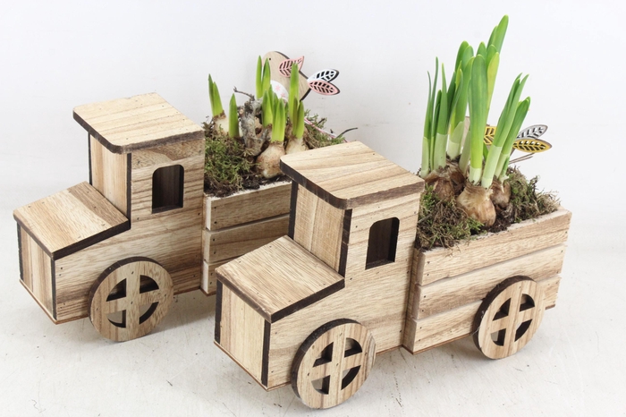 <h4>arr4 Bollenmix MB - Hout vrachtwagen 401/4</h4>