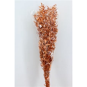 Dried Ruscus Nat Copper Glitter