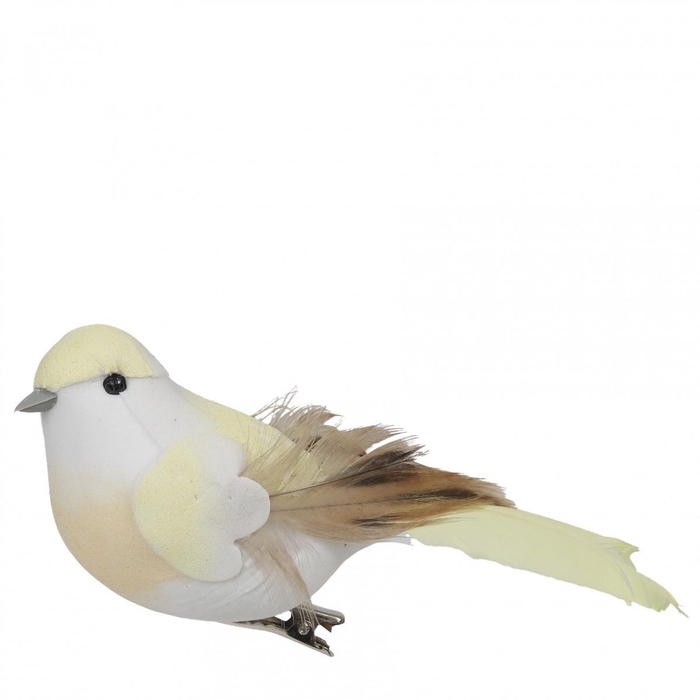 <h4>Spring Bird/clip 12cm</h4>