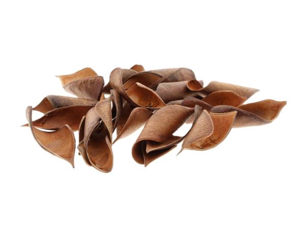 Brownie Curved 50g L8W7H12