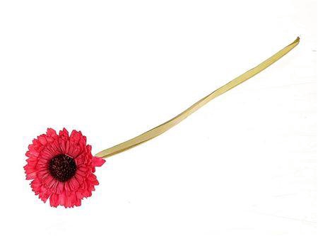 Artificial Flower Germini L50