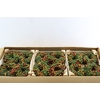 Wr Sierfruit Juniperus Arbutus Mix 12cm