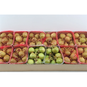 Sier Granaatappel Green X12 P Box