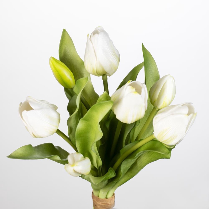 <h4>AF Tulip bundle x7 L30cm white</h4>