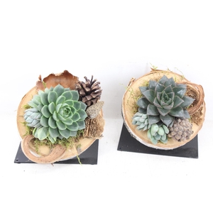 arr3 AD - Hout schijf met voet ech.