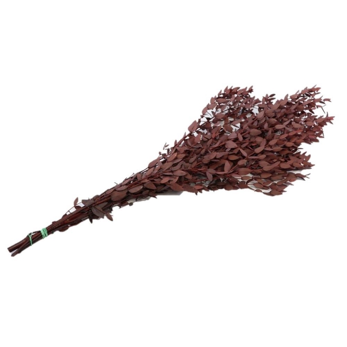 <h4>Preserved Eucalyptus 65cm 150g</h4>