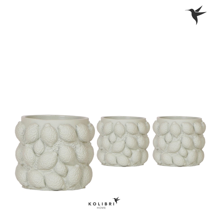 <h4>Kolibri Home Citrus pot green</h4>