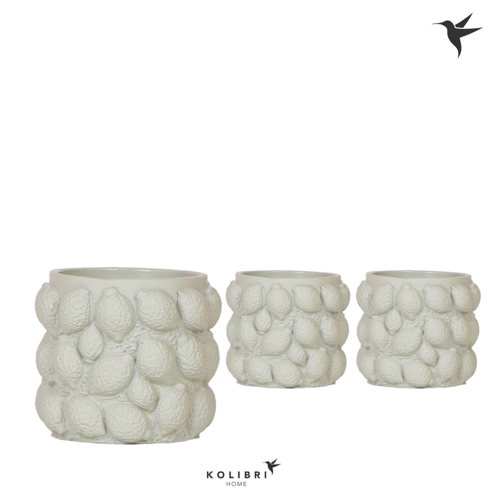 <h4>Kolibri Home Citrus pot green</h4>