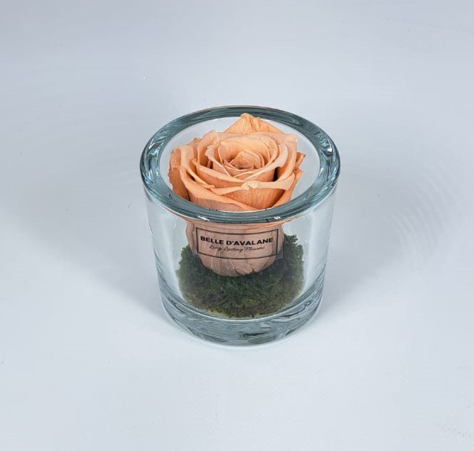 Cilinder d9x8h caramel (cho-89)
