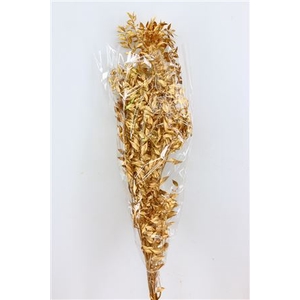 Dried Ruscus Nat Antique Gold Glitter