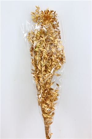 Dried Ruscus Nat Antique Gold Glitter
