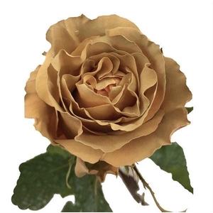 R GR CARAM MACCHIATO