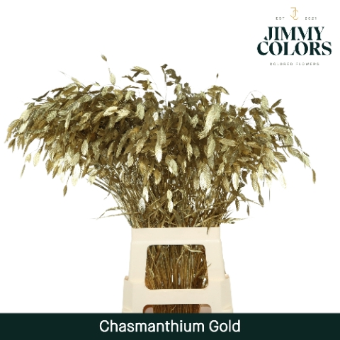 Chasmanthium L70 Mtlc. Goud