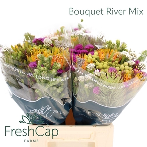 Bouquet River Mix