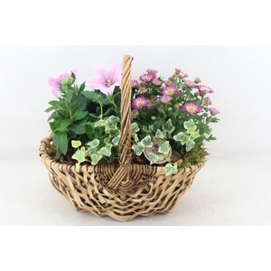 arr4 Outdoor PL - Hengselm. diana 285/4