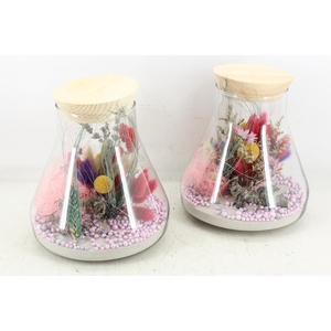 arr2 Droogbl. MB - Glas paris kl. 285/6