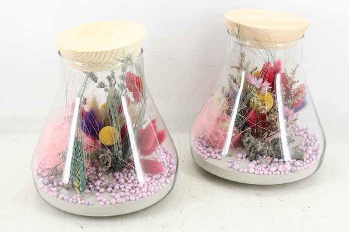 Arr2 Droogbl. Mb - Glas Paris Kl. 285/6