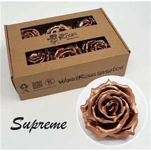 Zijde R Supreme Koper Wx