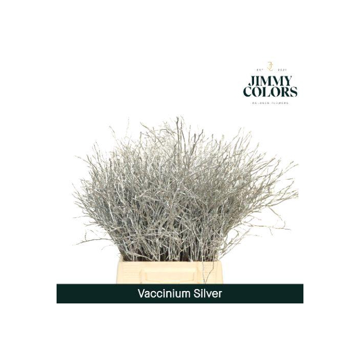 <h4>Vaccinium L50 Zilver</h4>