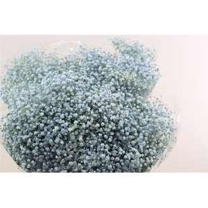 Gyps Grof Baby Blue (dip)