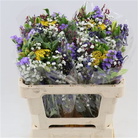 <h4>Gemengd Boeket Zomerboeket Overig</h4>