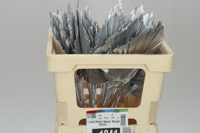 Dried Palmspear Silver