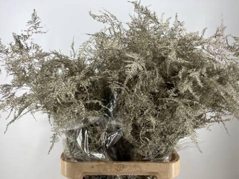 <h4>ASP OV KLB H%</h4>