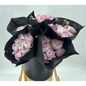 Ran Suc Nebbia Viola Sup