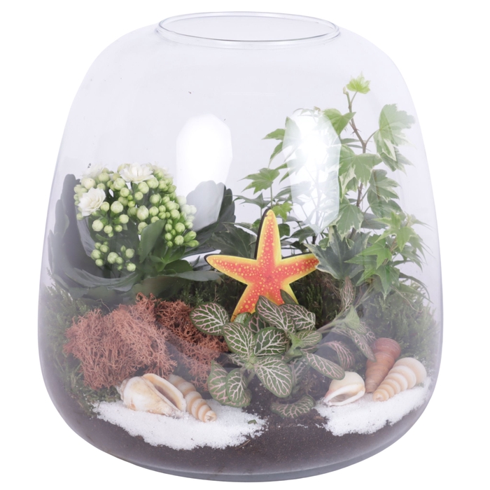 <h4>Opm Maritime Arr. Indoor Glas Terrarium Round</h4>