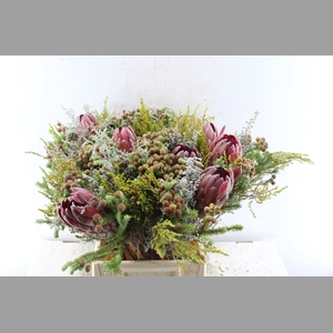 Protea Boeket